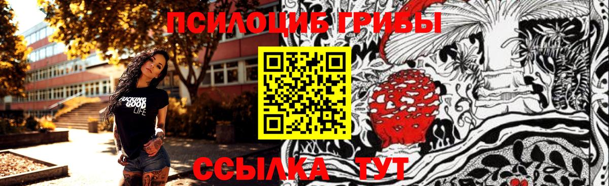 Галлюциногенные грибы Psilocybine cubensis Фролово
