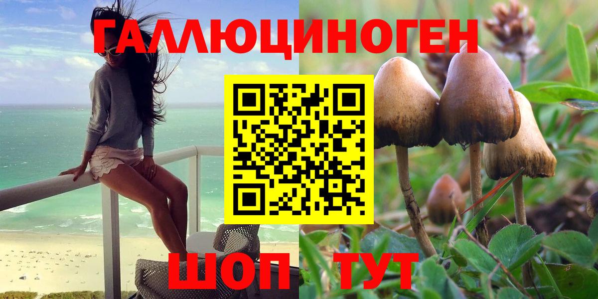 Фролово  Псилоцибиновые грибы Cubensis  Вход с VPN 